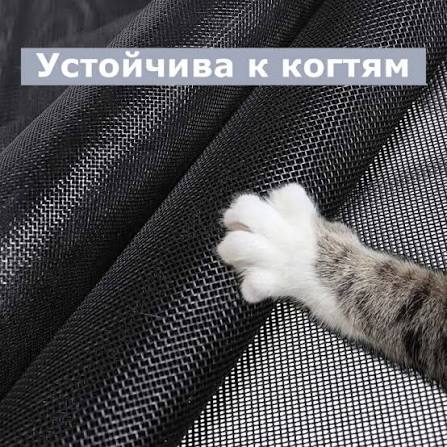 Кошка сидит у окна с сеткой Антикошка